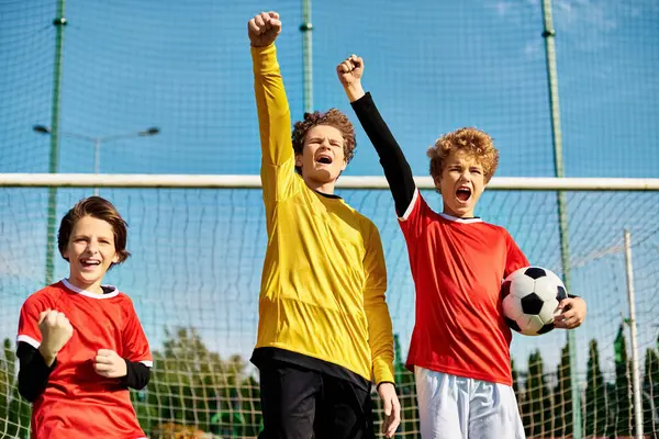 Группа энергичных молодых парней торжествует на футбольном поле, празднуя свою победу. Зеленая трава и белые линии поля создают живую обратную связь между мальчиками и их общей любовью к спорту. — стоковое фото