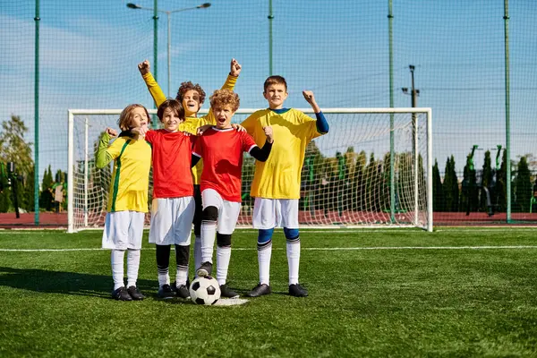 Un groupe de jeunes enfants, remplis d'énergie et d'enthousiasme, se tiennent triomphalement sur un terrain de football, célébrant leur travail d'équipe et leur victoire. — Photo de stock