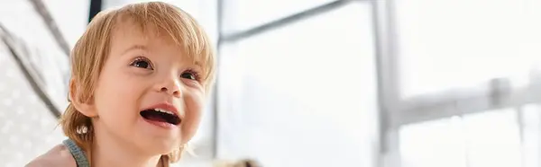 A little girl with a surprised expression standing in front of a window at home. — Stock Photo