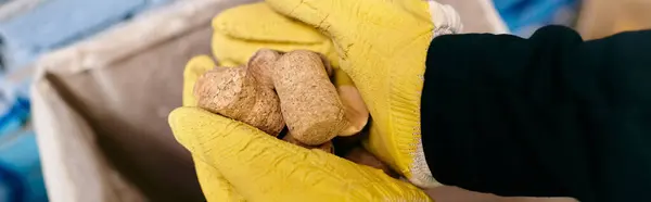 A young volunteer in a yellow glove carefully holds wine corks embodying eco-consciousness and waste sorting efforts. — Stock Photo