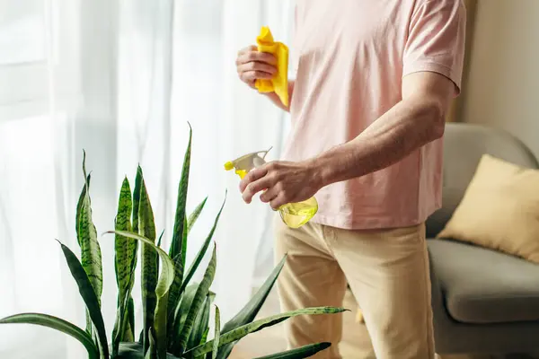 Handsome man in cozy homewear delicately cleaning houseplant with yellow sponge. — Stock Photo