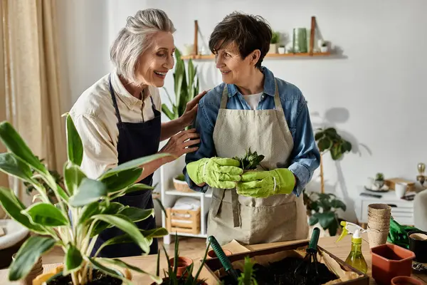 Deux femmes âgées cultivent joyeusement un jardin ensemble sous le soleil. — Photo de stock