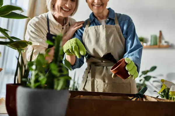 Duas mulheres em aventais plantam plantas em um pote. — Fotografia de Stock