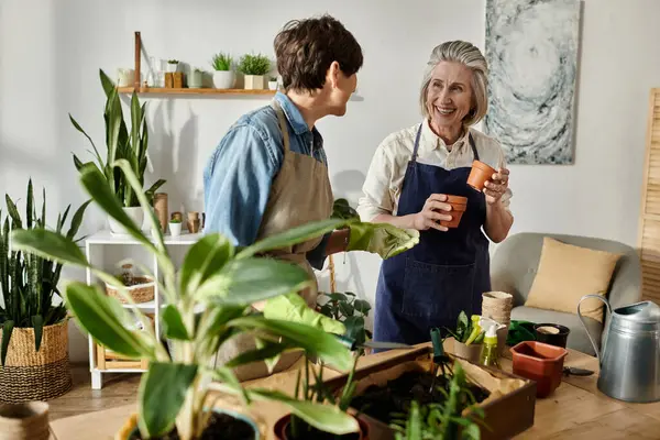 Dos mujeres en delantales disfrutando de una conversación sobre plantas en un acogedor entorno hogareño. - foto de stock