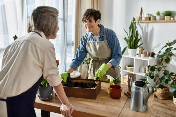 Mature lesbian couple in aprons working together in a garden. — Stock Photo