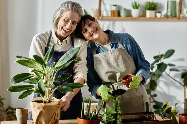Duas mulheres em aventais plantam uma folhagem verde em um pote, estimulando o novo crescimento. — Fotografia de Stock