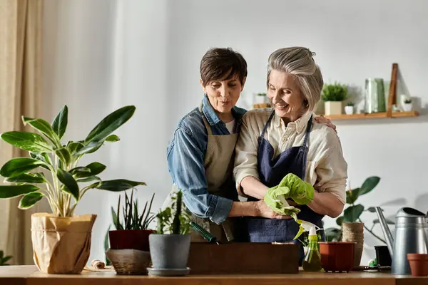 Two women lovingly care for a plant in a cozy kitchen setting. — стокове фото