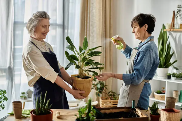 Two women in aprons caring for a potted plant. — Stock Photo