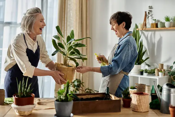 Dos ancianas plantando en cocina - foto de stock