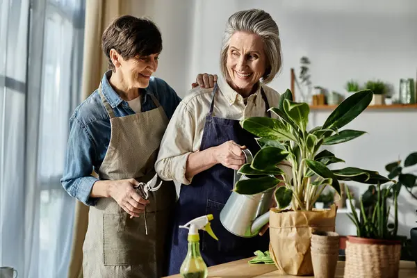 Mature lesbian couple in aprons nurturing a plant together. — Stock Photo