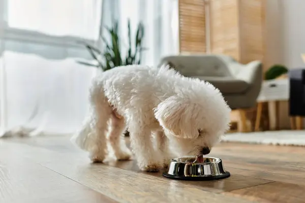 Petit chien blanc mange joyeusement du bol en métal. — Photo de stock