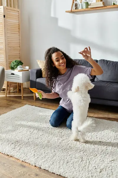 A woman joyfully plays with her bichon frise on the floor. — Stock Photo
