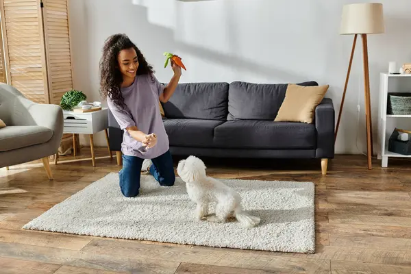 Woman joyfully playing with her white Bichon Frise in a cozy living room. — Stock Photo