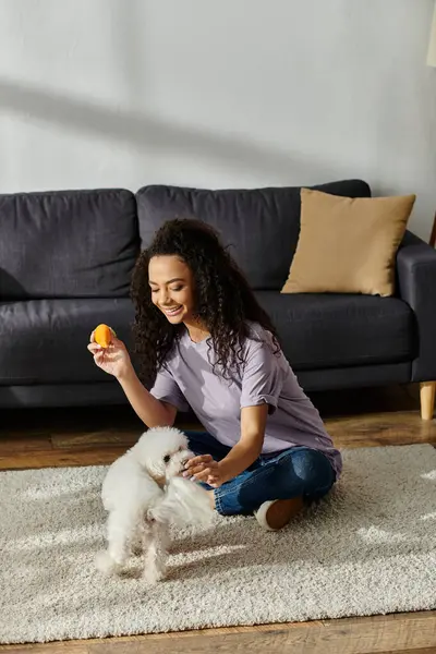 Una donna felicemente seduta sul pavimento, impegnata scherzosamente con il suo amato Bichon Frise. — Foto stock
