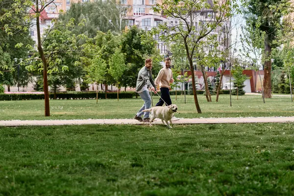 Бородатая гей-пара выгуливает свою собаку-лабрадора на поводке через зеленый парк.. — стоковое фото