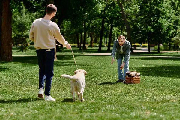 Two bearded men play fetch with their labrador retriever in a sunny park. — Stock Photo