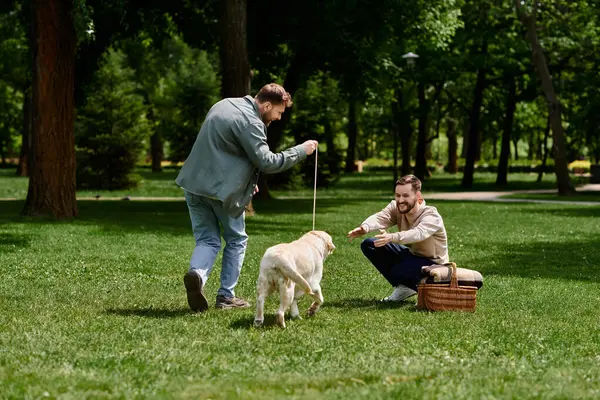 A bearded gay couple in casual attire spend time together in a green park, playing fetch with their labrador dog. — Stock Photo