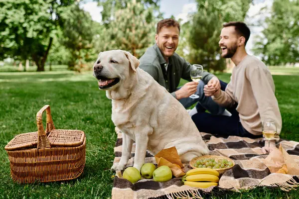 A bearded gay couple enjoys a picnic with their labrador dog in a lush green park. — Stock Photo