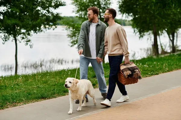 Deux hommes barbus marchent ensemble dans un parc, tenant la main et avec leur labrador récupérateur à leurs côtés. — Photo de stock