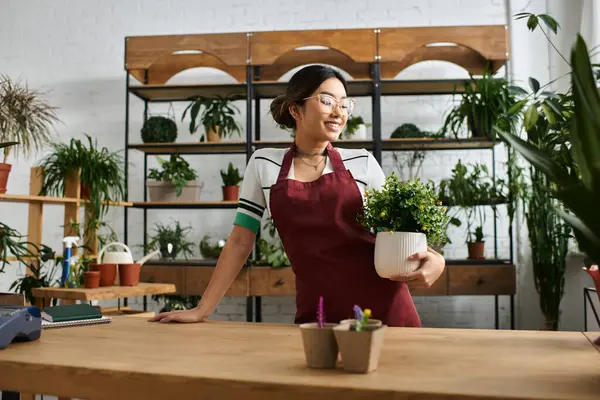 Une belle femme asiatique dans un tablier travaille à son comptoir de magasin de plantes, tenant une plante en pot et prête à servir les clients. — Photo de stock