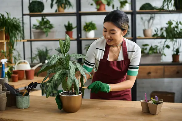 A smiling Asian woman in an apron is tending to a plant in her shop. — Stock Photo