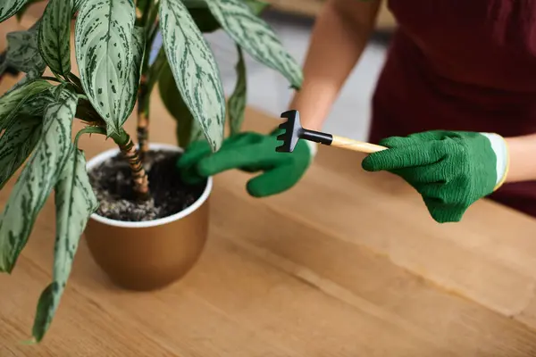 Frau mit grüner Schürze pflegt eine Pflanze in ihrem Gewächshaus und hält ein kleines Gartenwerkzeug in der Hand. — Stockfoto