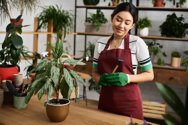 Una mujer asiática que lleva un delantal y guantes examina cuidadosamente una planta en su tienda, lista para darle el mejor cuidado. - foto de stock