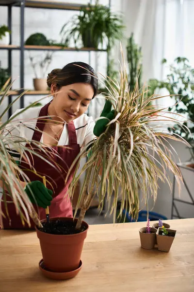 Una bella donna asiatica in grembiule tende a una pianta in vaso nella sua serra. — Foto stock