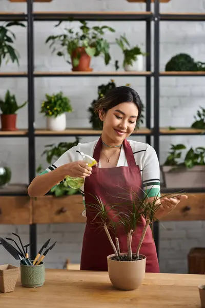 Una joven asiática en un delantal atiende cuidadosamente a una planta en maceta en su tienda de plantas. - foto de stock