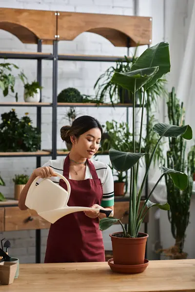 Uma mulher asiática em um avental rega uma planta em sua loja de plantas, cercada por vegetação e prateleiras de outras plantas em vaso. — Stock Photo