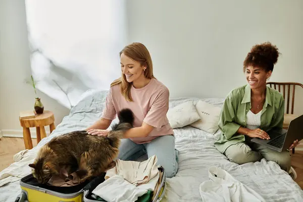 A couple shares joyful moments, packing with their playful cat in a cozy, sunny space. — Stock Photo