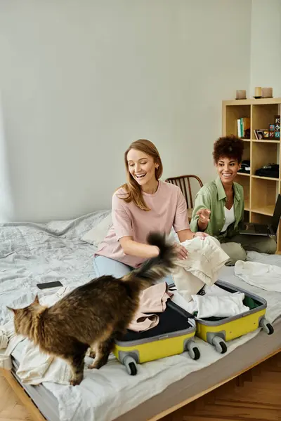 A lovely couple joyfully packs suitcases while their cat curiously explores. — Stock Photo