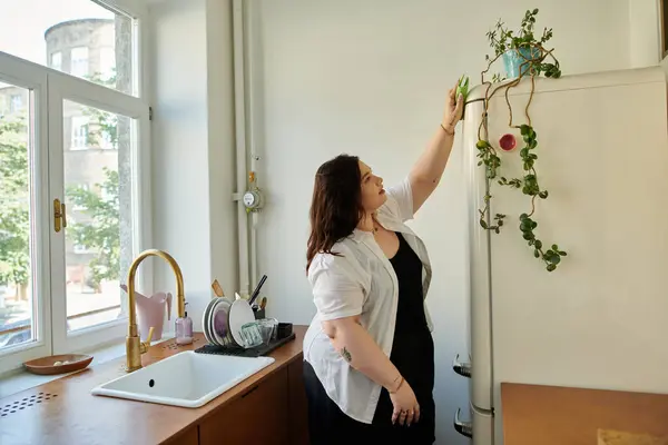 A plus size woman lovingly tends to her indoor plants in the kitchen. — Stock Photo