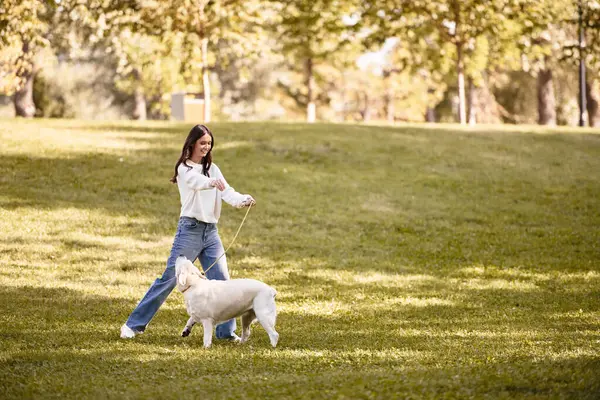 Una joven con un acogedor atuendo otoñal pasea cariñosamente a su perro por un parque sereno. - foto de stock