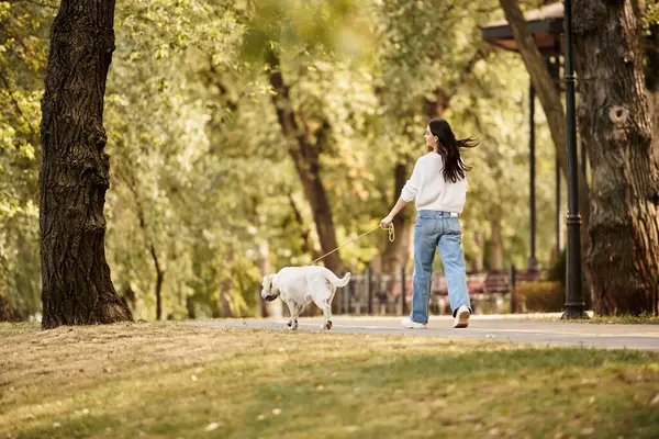 In a beautiful park filled with autumn colors, a young woman enjoys a leisurely walk with her dog. — Stock Photo
