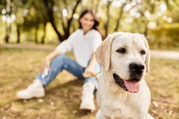 In a vibrant park, a young woman dressed for autumn plays with her joyful dog amidst fallen leaves. — Stock Photo