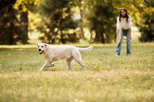 In a vibrant park, a young woman in warm layers delights in playing fetch with her furry friend. — Stock Photo