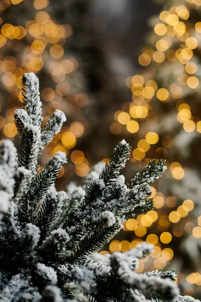 Snow-covered pine trees illuminate the festive landscape with enchanting golden lights for the holidays. — Stock Photo
