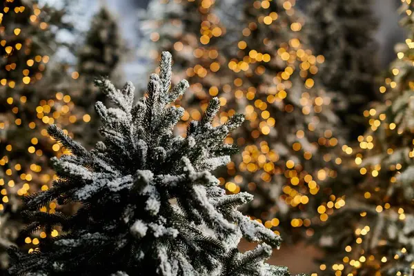 Pine trees, blanketed in snow, shimmer with twinkling lights, evoking holiday cheer and seasonal joy. — Stock Photo