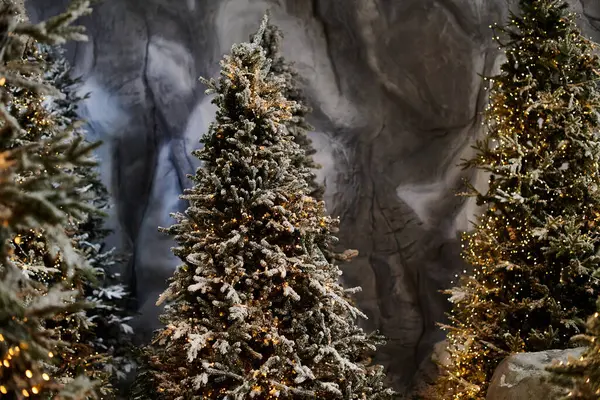 Snow-dusted pine trees illuminated by shimmering lights create a festive atmosphere for Christmas cheer. — Stock Photo