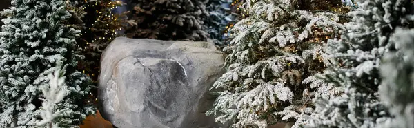 Pine trees blanketed in fresh snow evoke a magical atmosphere, perfect for holiday festivities and joy. — Stock Photo