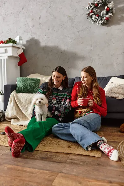 Girlfriends in cozy sweaters relax with a cute Bichon Frise dog, enjoying Christmas festivities at home. — Stock Photo