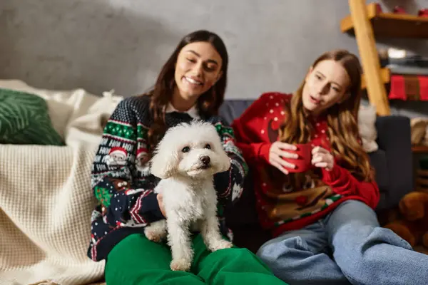 Two girlfriends in festive sweaters enjoy Christmas with their cute Bichon Frise in a warm living room. — Stock Photo