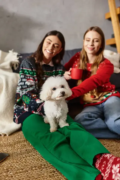 Two girlfriends in festive sweaters enjoy Christmas with their lovable Bichon frise dog in a cozy living room. — Stock Photo