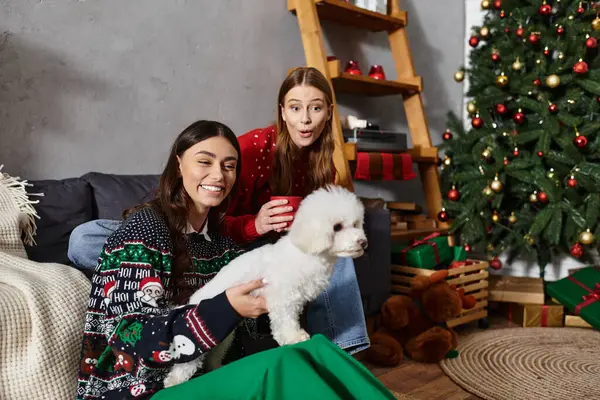 Two friends in warm sweaters celebrate the holidays with their adorable Bichon frise in a festive living room. — Stock Photo