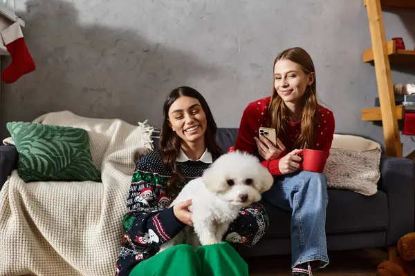 Due amiche si rilassano in maglioni, celebrando il Natale con il loro adorabile Bichon Frise in un accogliente soggiorno. — Foto stock