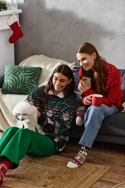Girlfriends snuggle in sweaters with a Bichon Frise, enjoying a cozy Christmas and New Year together. — Stock Photo