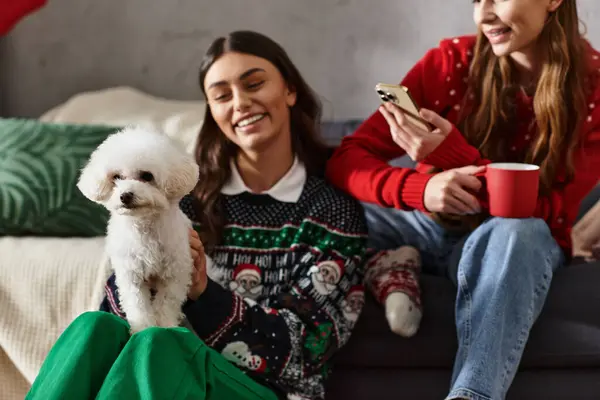 Le amiche in maglioni allegri godono di festività natalizie con la loro frise soffice Bichon in un accogliente soggiorno. — Foto stock