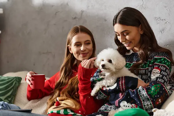 Girlfriends enjoy holiday warmth with a fluffy Bichon Frise, celebrating Christmas together in cozy sweaters. — Stock Photo