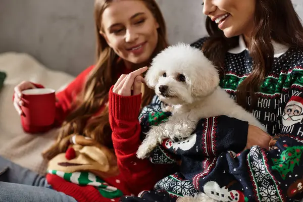 Two girlfriends in cozy sweaters celebrate Christmas with their adorable Bichon Frise dog in a warm living room. — Stock Photo